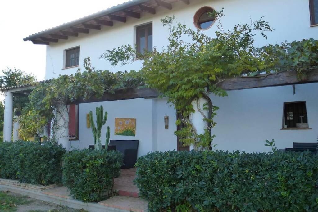 Cortijo Con Encanto Cullera Exterior photo