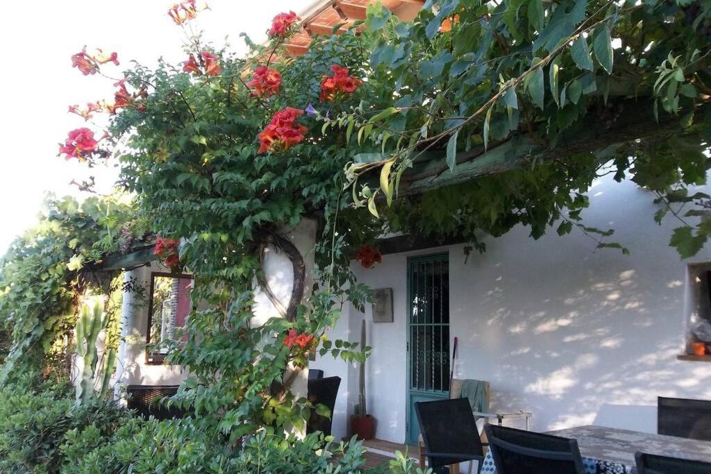 Cortijo Con Encanto Cullera Exterior photo